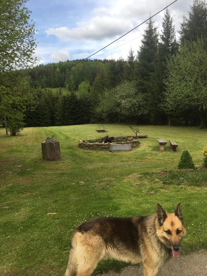 Bieszczadzka Sielanka Vila Wojtkowa Exterior foto